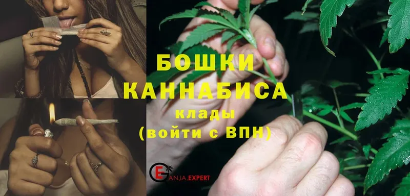 где купить наркоту  Бутурлиновка  Конопля Bruce Banner 